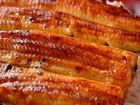 鳗鱼与时令料理 虎屋 5